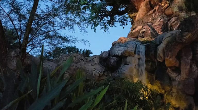 Biff Wonderland - 10 Minutes of Nightfall | Tree of Life Animal Kingdom