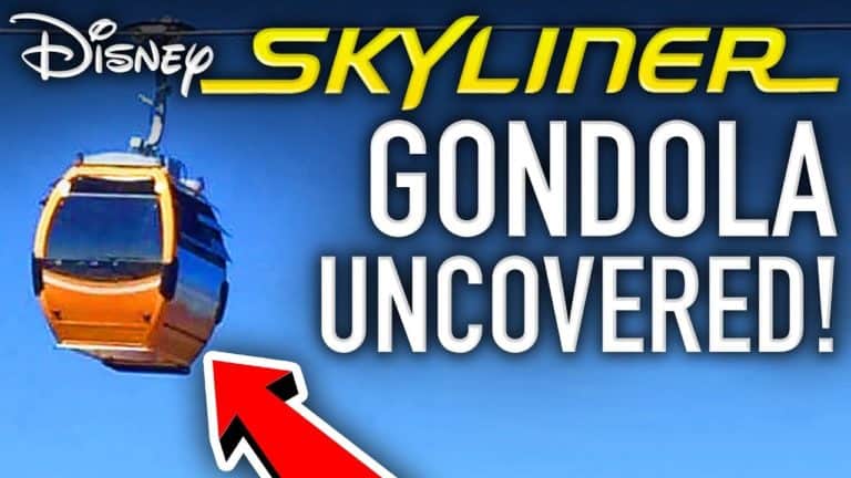 Mickey Views - Gondola Uncovered