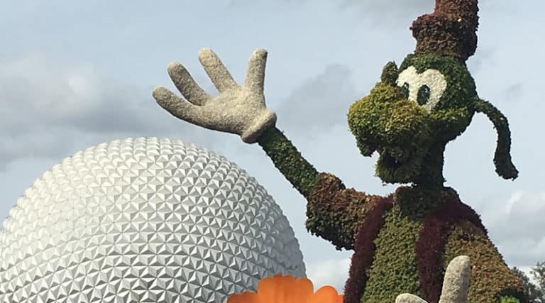 Paging Mr Morrow - Flower and Garden 2019