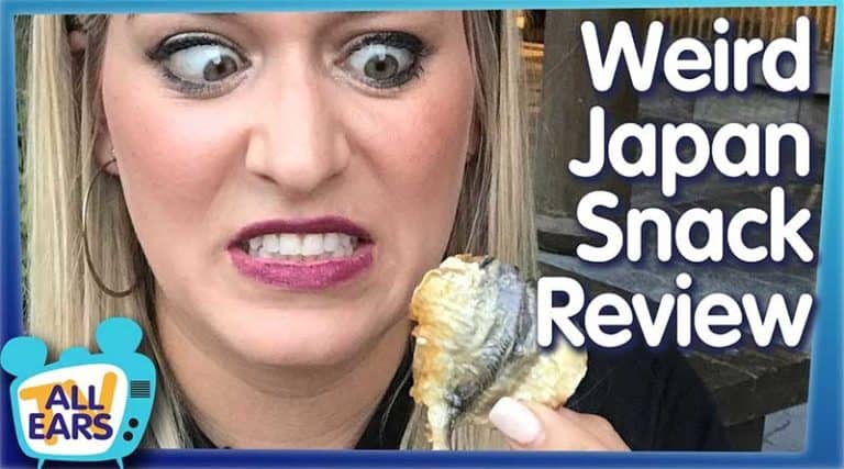 You Should Definitely Try The Crazy Snacks in Epcot's Japan