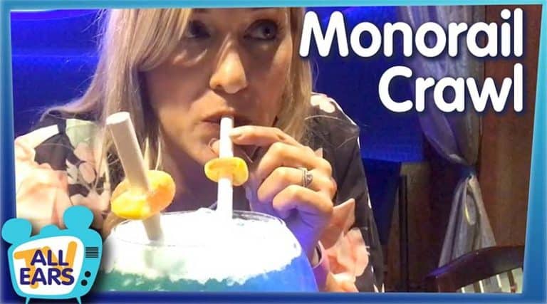 The Ultimate Walt Disney World Monorail Crawl