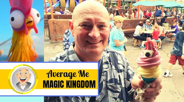 Average Me - Hei Hei Cone at Magic Kingdom