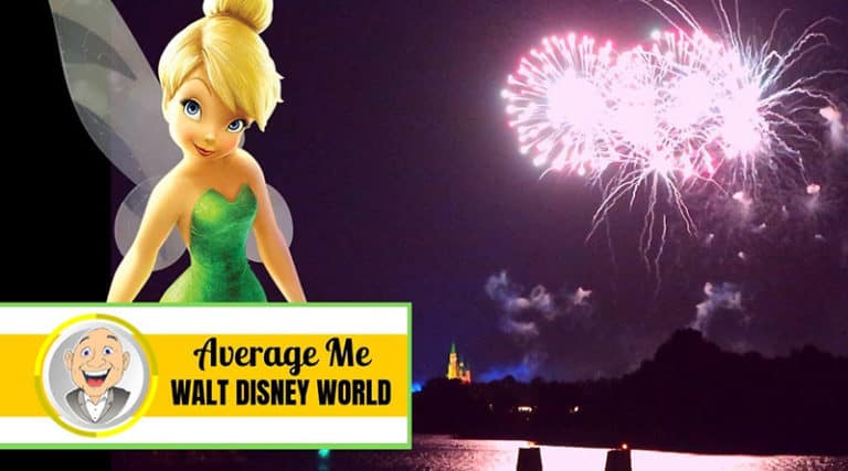 Average Me - Fireworks and Dining at Disney World