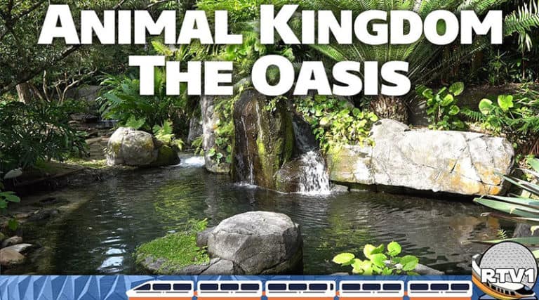 Resort TV 1 - Animal Kingdom The Oasis Relaxing Tour