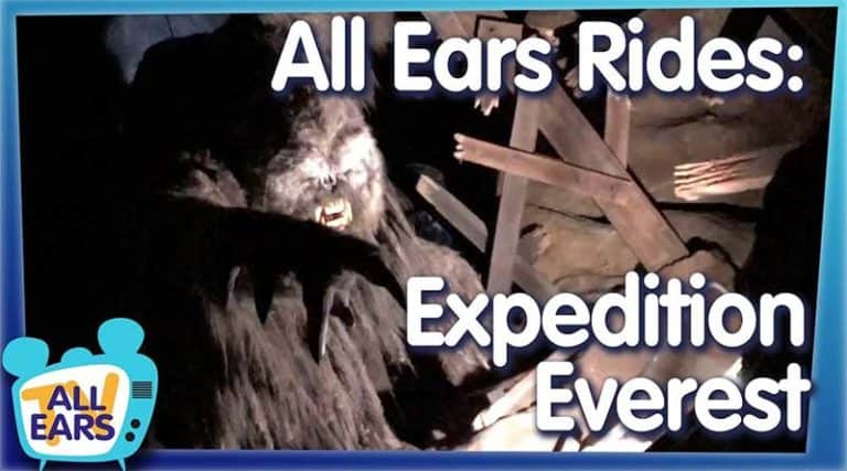 Animal Kingdom's Expedition Everest -- Ride Through, Hidden Details & Behind the Scenes History