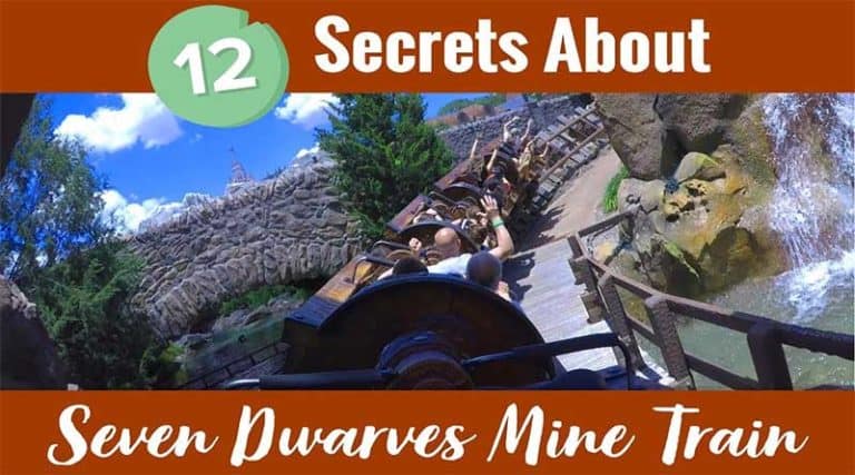 11 Secrets Everyone Should Know about Seven Dwarfs Mine Train