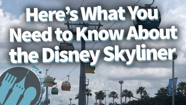 EVERYTHING You Need to Know About the Disney World Skyliner!