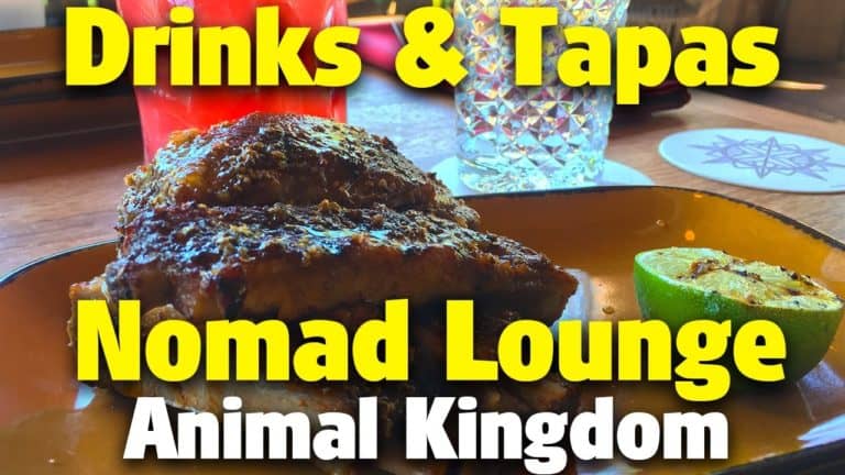 Drinks & Tapas | Nomad Lounge | Animal Kingdom