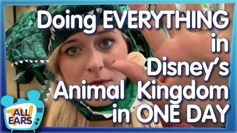 AllEars.net - Can Molly Do It All at Animal Kingdom?