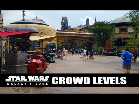 Passport to the Parks visits Galaxy's Edge 15 days after opening