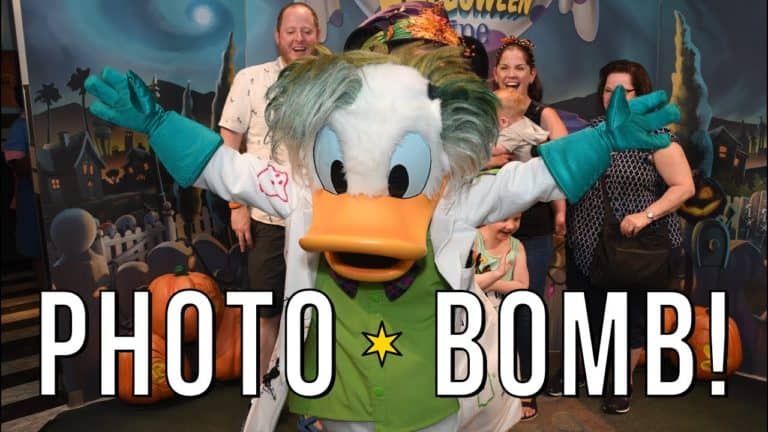 All You Can Eat Birthday Treats! Minnie's Halloween Dine & Star Wars Magic Hollywood Studios