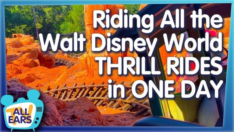 Is It Possible to Ride Every Thrill Ride at Walt Disney World in ONE DAY?!