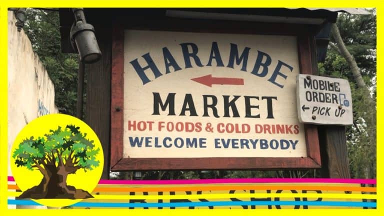 FOOD REVIEW Harambe Market at Animal Kingdom + Kilimanjaro Safaris - Fresh Baked WDW Food Week