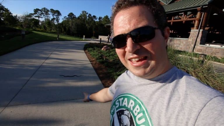 Riverside Selfie Scavenger Hunt - Wildlife at Wilderness - Movie and Campfire at the Fort