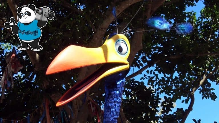 Kevin - Bird from UP Movie - Animal Kingdom NEW Walk Around Character - Walt Disney World