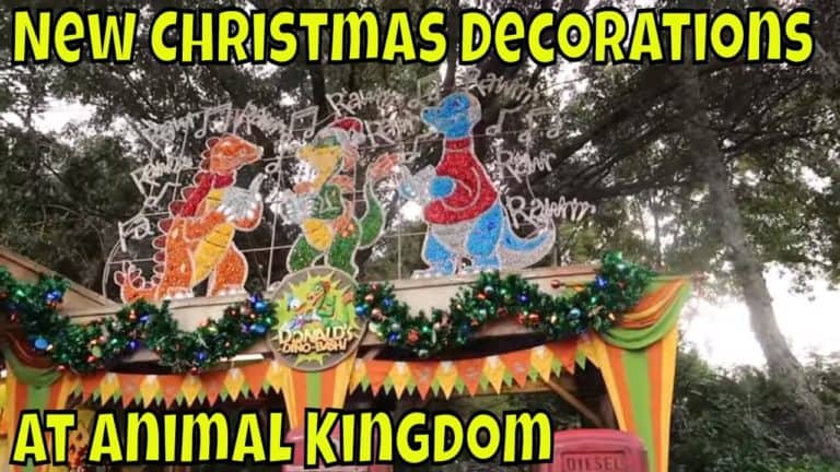 Animal Kingdom's New Christmas Decorations - Magical Mondays #122