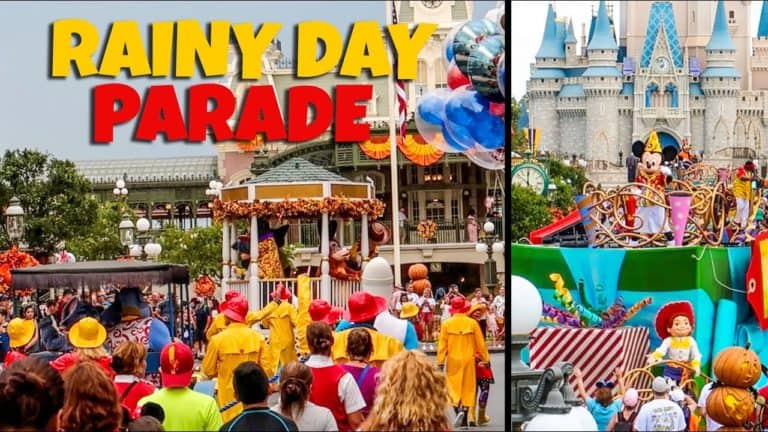 Rare Move it Shake it Rainy Day Parade at Magic Kingdom