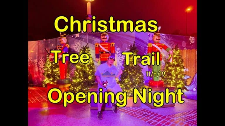 Disney Springs - Christmas Tree Trail - Opening Night 2019