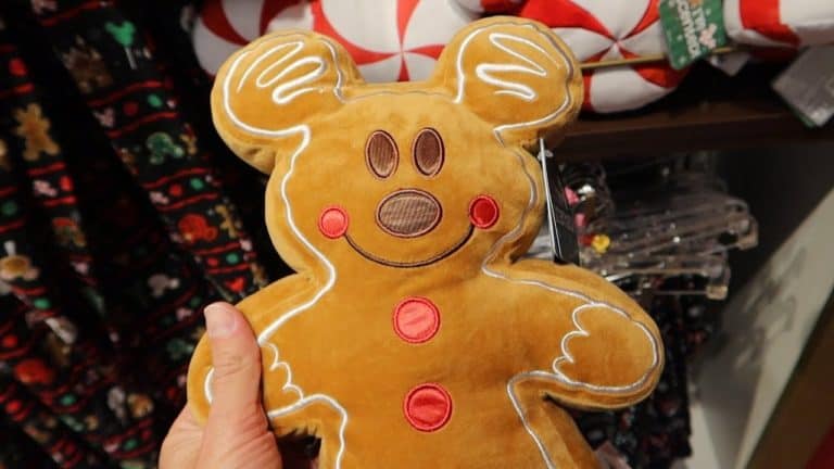 Visiting All 4 Walt Disney World Parks In One Day In Search Of Christmas! | Merch & More!