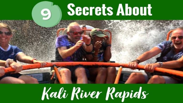 9 Fun Facts About Kali River Rapids at Disney’s Animal Kingdom