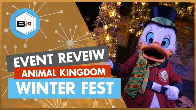 Beyond the Kingdoms - Animal Kingdom Winter Festival Review
