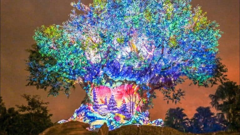Blog Mickey - New Christmas Tree of Life Show 2019