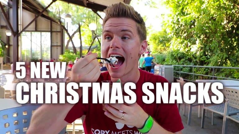 Cory Meets World - 5 New Christmas Snacks at Hollywood Studios