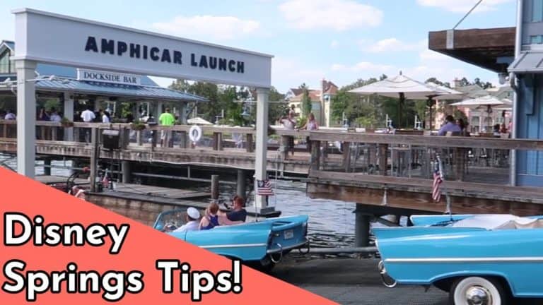 Ivy Winter - Disney Springs Dos and Donts