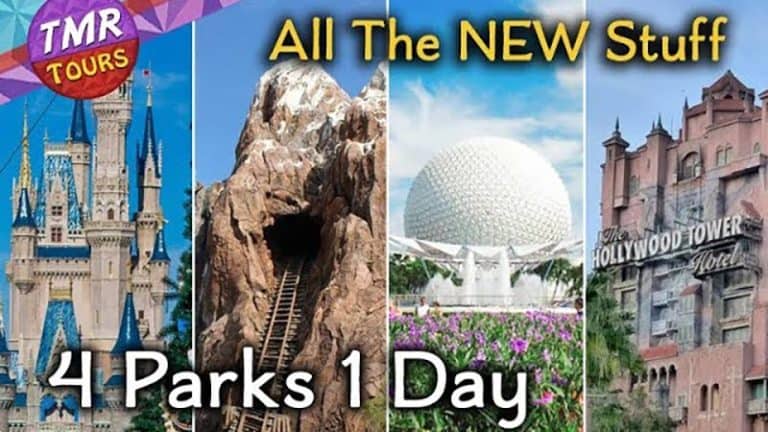 TMR Tours - 4 Parks in 1 Day at Walt Disney World