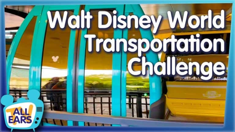 The Disney Transportation Challenge - Instagram Sent Me ALL Over Walt Disney World!