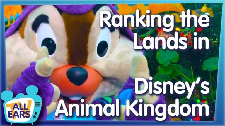 Which Land in Disney World's Animal Kingdom is the BEST?