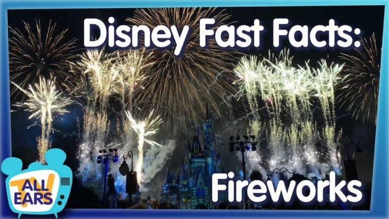 11 Fast Facts About Walt Disney World Fireworks!