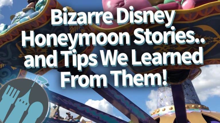 Bizarre Disney Honeymoon Stories...and the Tips We Learned From Them!