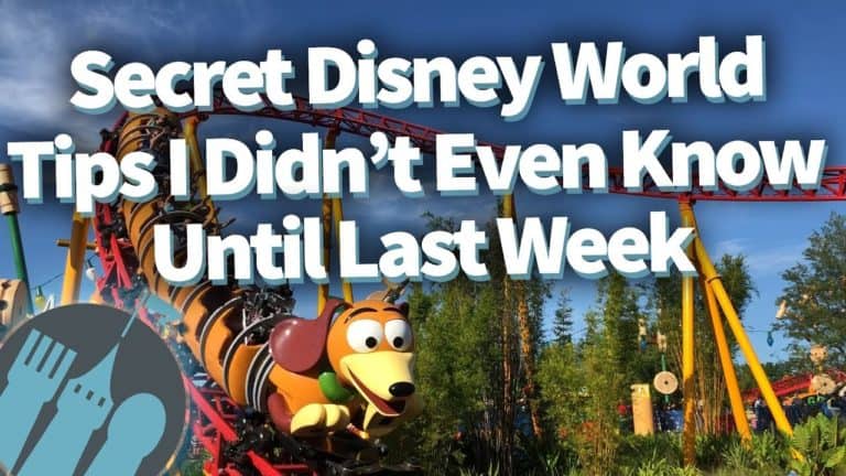 Secret Disney World Tips I Didn't Even Know Until Last Week!