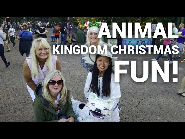 Disney’s Animal Kingdom Christmas fun!