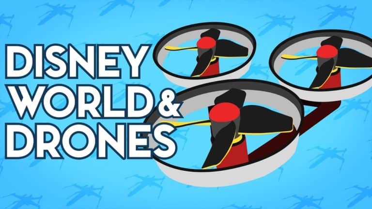 Disney World and Drones