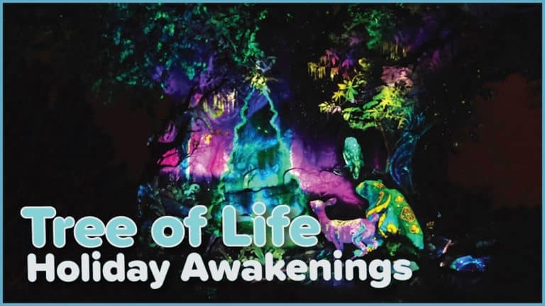 Holiday Tree of Life Awakenings - Disney's Animal Kingdom