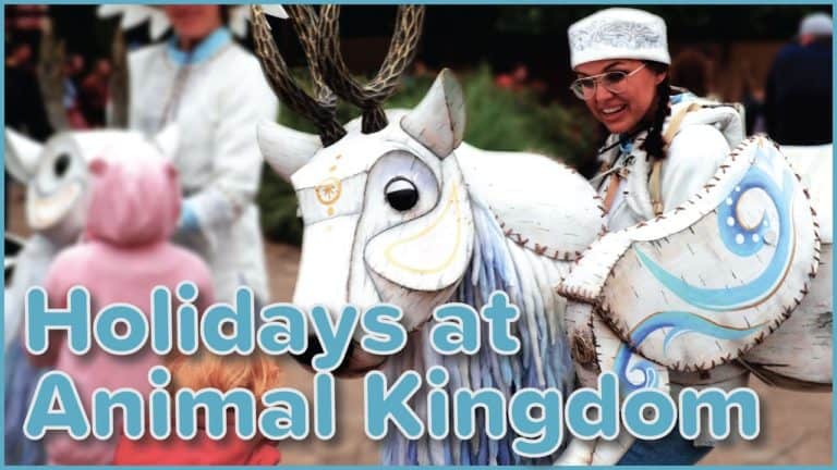 Christmas Celebrations in Disney’s Animal Kingdom