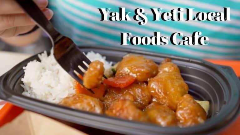 DINING REVIEW: Yak & Yeti Local Foods Cafe at Disney's Animal Kingdom