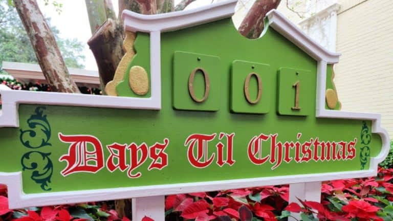 Christmas Eve at Walt Disney World - O'hana Dinner - Christmas Characters