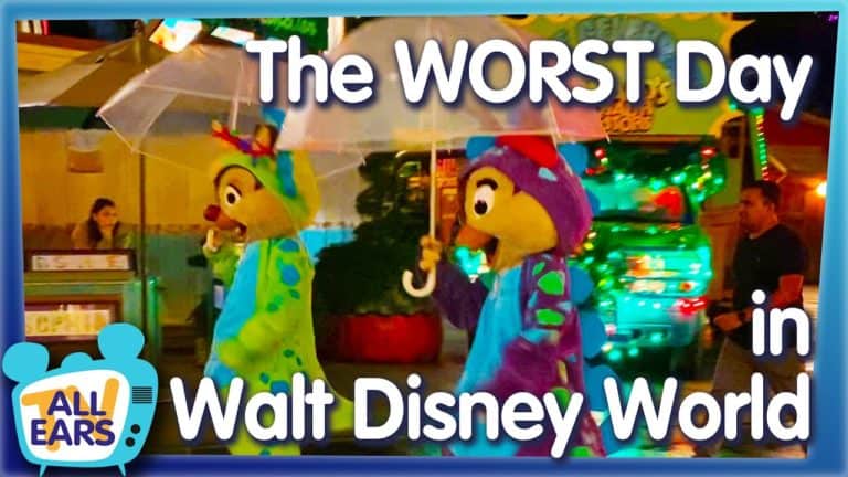 The Worst Day at Disney World!