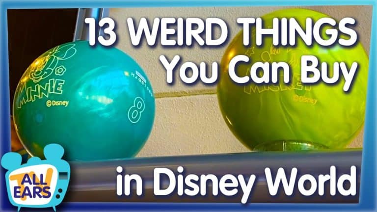 13 Weird Things You Can Buy in Disney World!