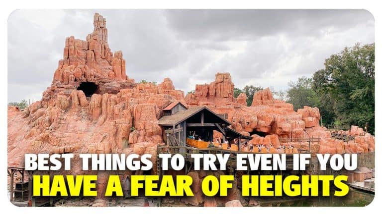 BEST Things to Try Even With a Fear of Heights at Walt Disney World - Best & Worst