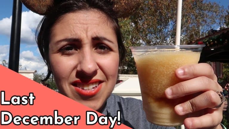 Eating Around Epcot & Shopping in Batuu - Day 4