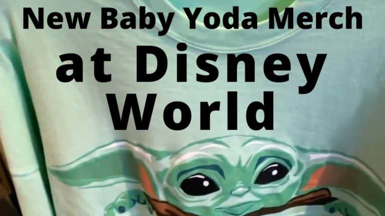 new Baby Yoda/the Child Merchandise - Space Mountain 45th Anniversary