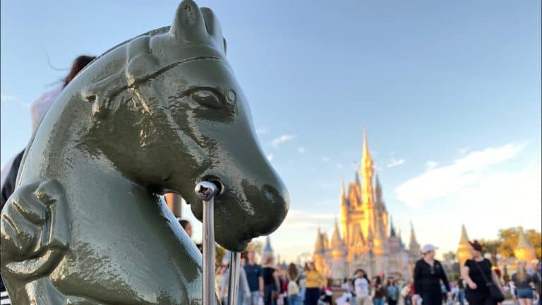 A Relaxing Day At Disney’s Magic Kingdom.