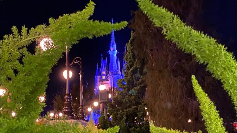 A Night At Disney’s Magic Kingdom