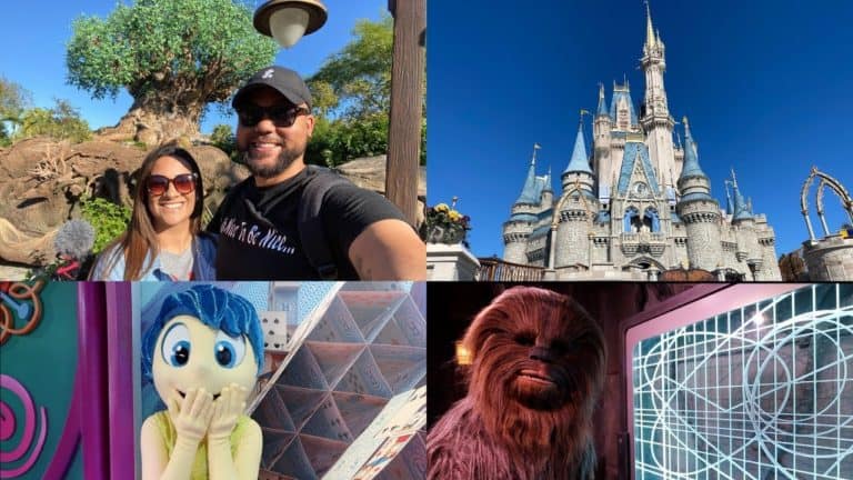 4 Parks 1 Day Challenge At Walt Disney World