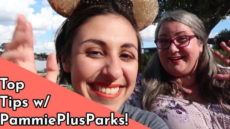 Plus Size and Disability at Disney World - Ivy Winter