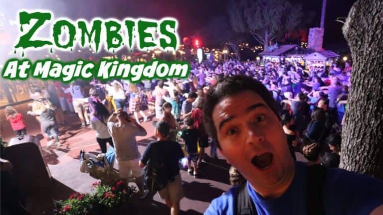 New Years Eve Eve at the Magic Kingdom! New Decade 2020!
